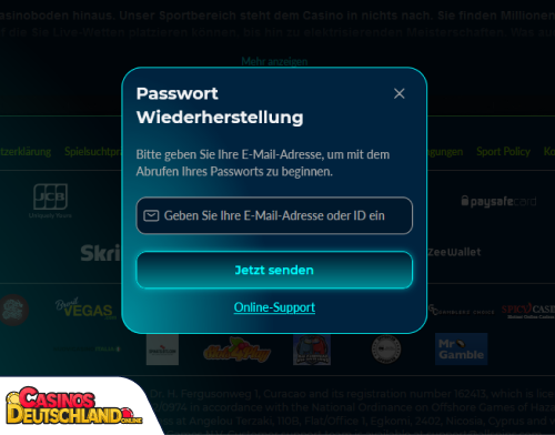 AllSpins Casino Problem beim Einloggen