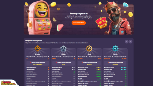 Coolzino Casino Vip program