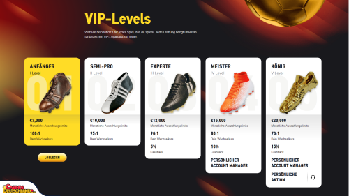 FezBet Casino vip program