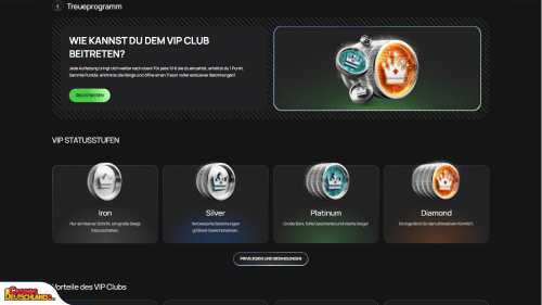 Flagman Casino vip program