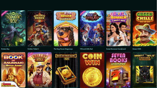 Playio Casino Slot