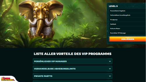 Playio Casino vip program