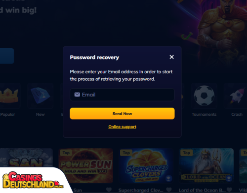 RioAce Bet Casino Problem beim Einloggen