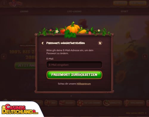 Roostino Casino Problem beim Einloggen