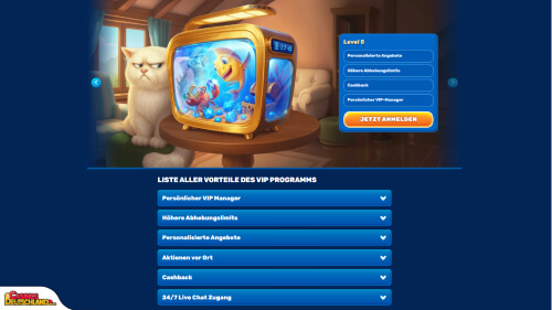 Spinfin Casino vip program