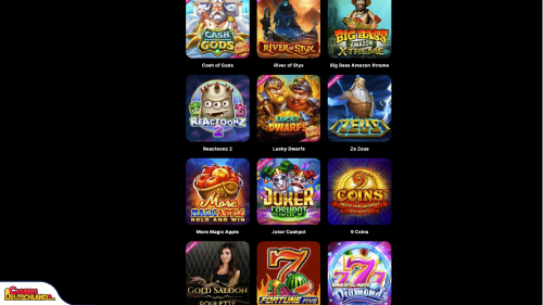 Swiper Casino Slot