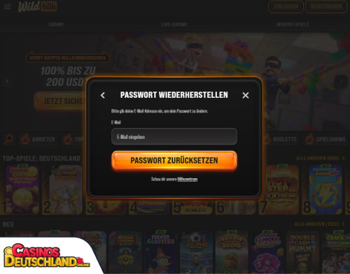 WildHub Casino Problem beim Einloggen