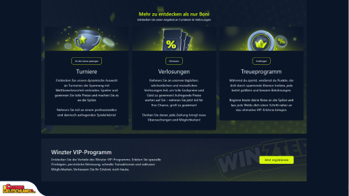 Winzter Casino vip program