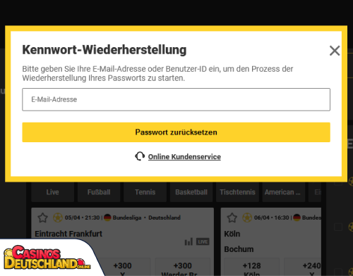 ZetCasino Casino Problem beim Einloggen